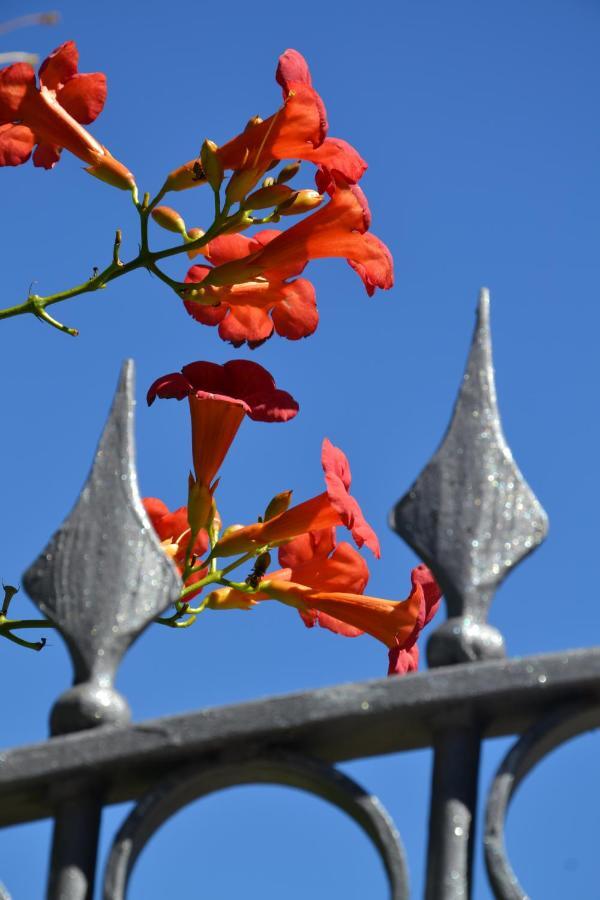 B&B Les Fleurs Gignod Szoba fotó